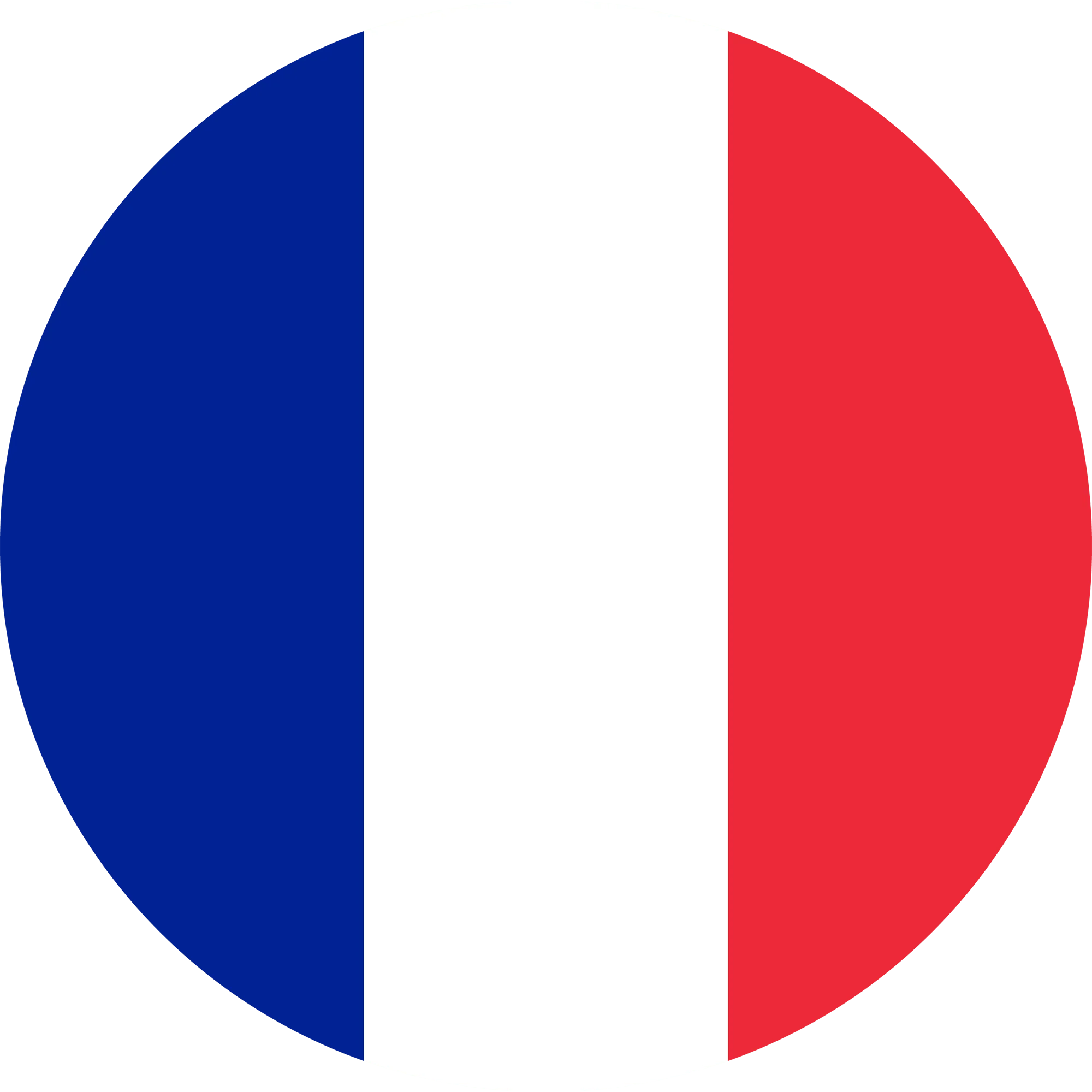 French Flag